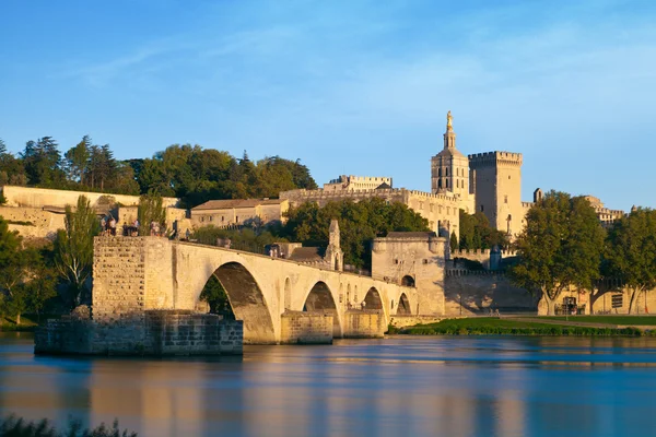 Avignon Consultant SEO Avignon avec un consultant en référencement naturel